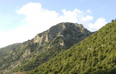immagine articolo