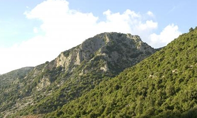 Servizio di tutela del paesaggio