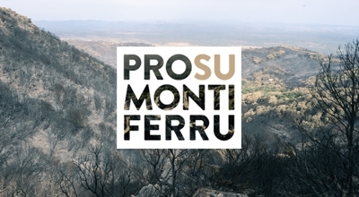 EMERGENZA INCENDI 2021: BANDI PER LA CONCESSIONE DEI RISTORI A FAVORE DELLE IMPRESE AGRICOLE E DEI SOGGETTI PRIVATI (HOBBISTI) - AVVISO PROROGA TERMINI