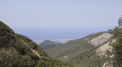 Festival dello Sviluppo Sostenibile - "I nidi del Montiferru"